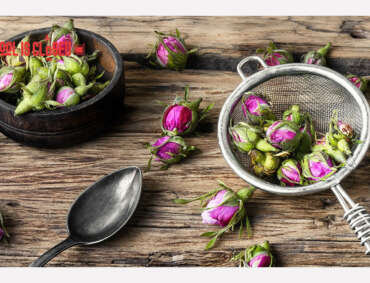 Rose Petals