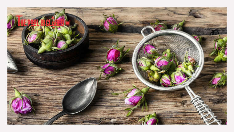 Rose Petals